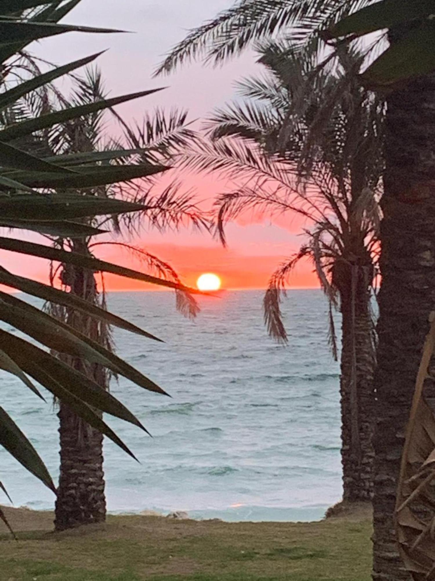 Appartamento Oasis En Playamar Con Piscina Torremolinos Esterno foto